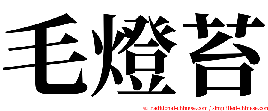 毛燈苔 serif font