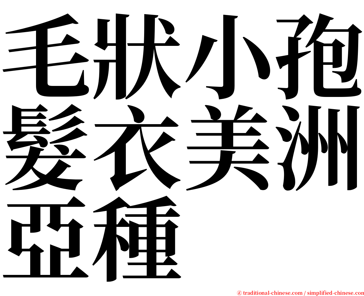 毛狀小孢髮衣美洲亞種 serif font