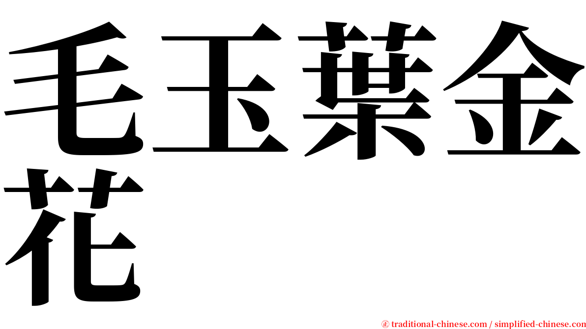 毛玉葉金花 serif font