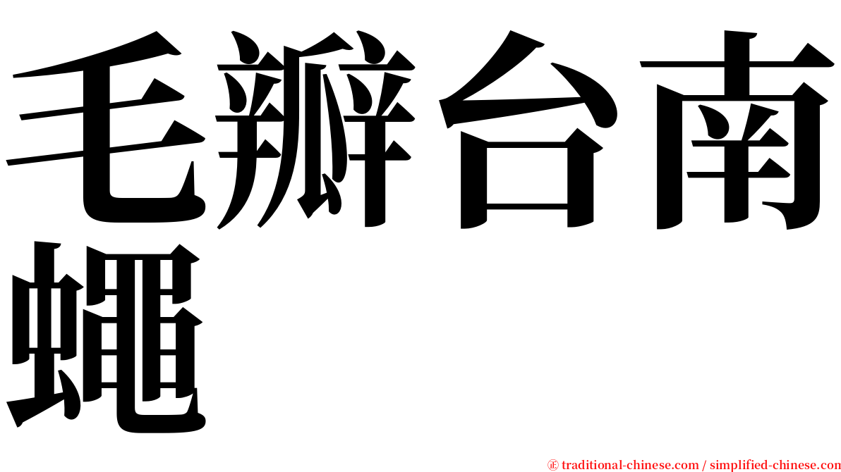 毛瓣台南蠅 serif font