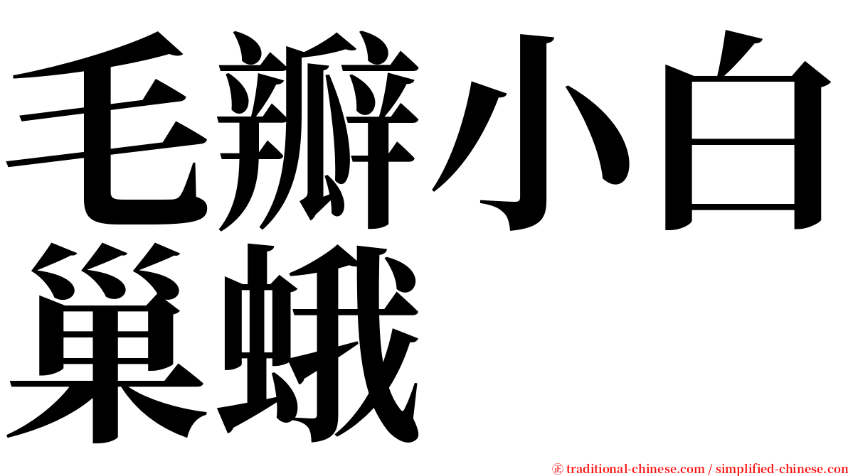 毛瓣小白巢蛾 serif font