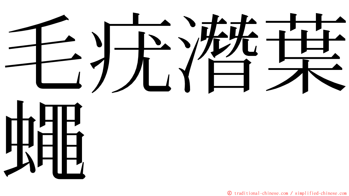 毛疣潛葉蠅 ming font