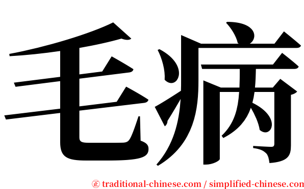 毛病 serif font
