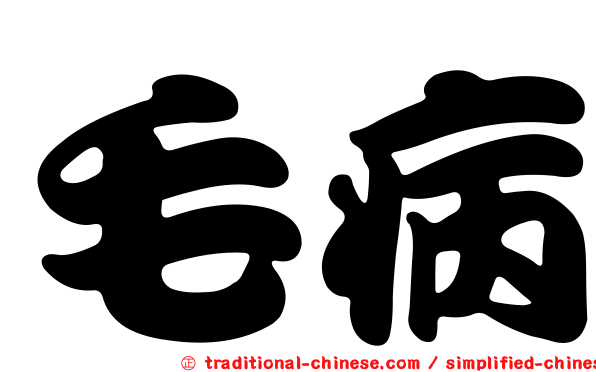 毛病