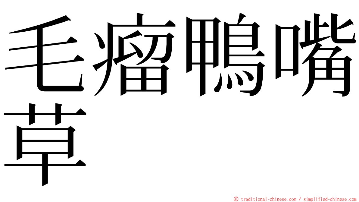 毛瘤鴨嘴草 ming font