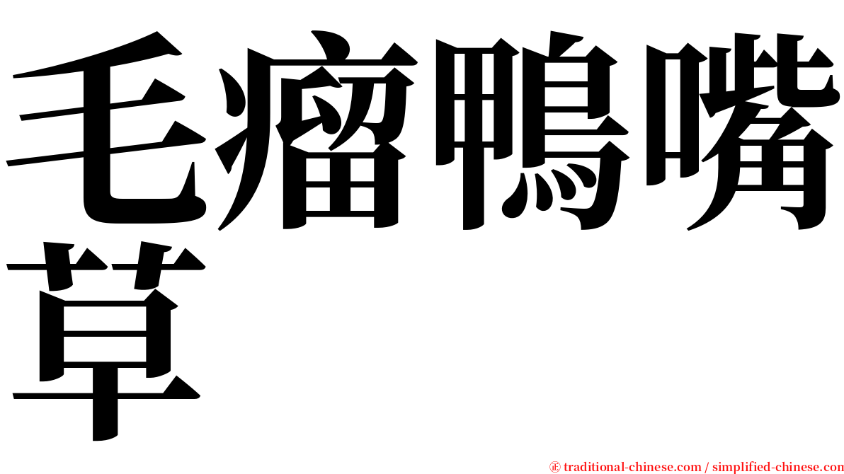 毛瘤鴨嘴草 serif font