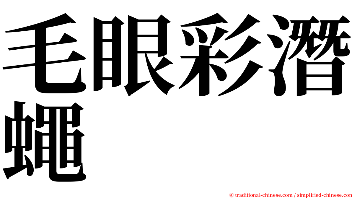 毛眼彩潛蠅 serif font