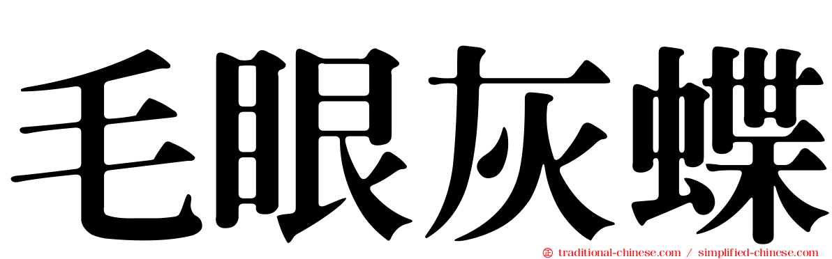 毛眼灰蝶