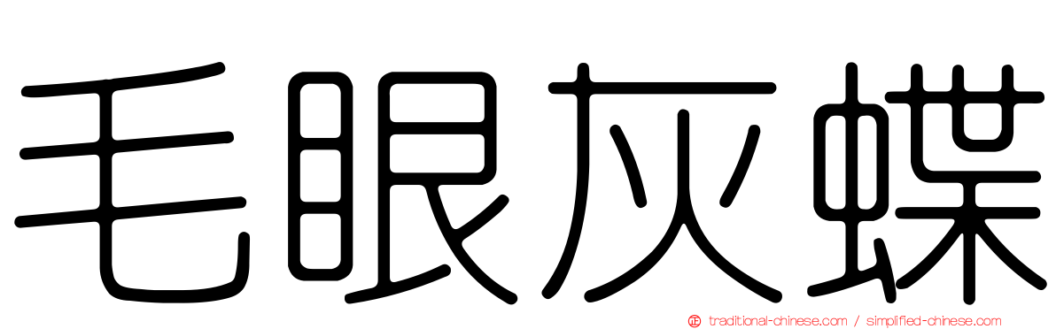 毛眼灰蝶