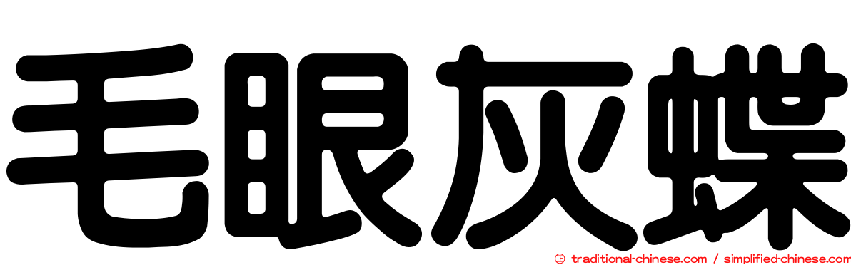 毛眼灰蝶