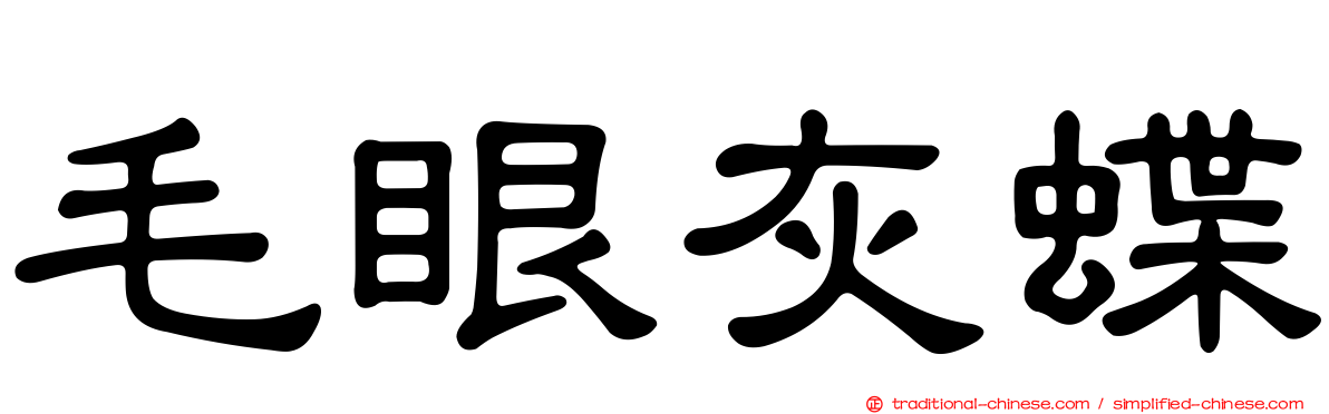 毛眼灰蝶