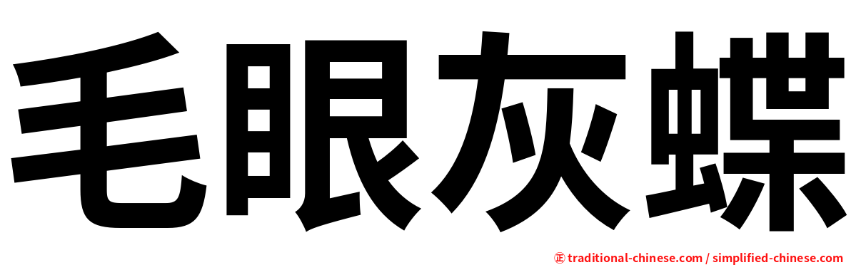 毛眼灰蝶