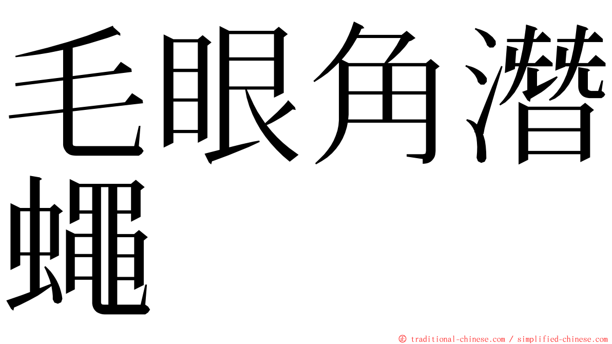 毛眼角潛蠅 ming font