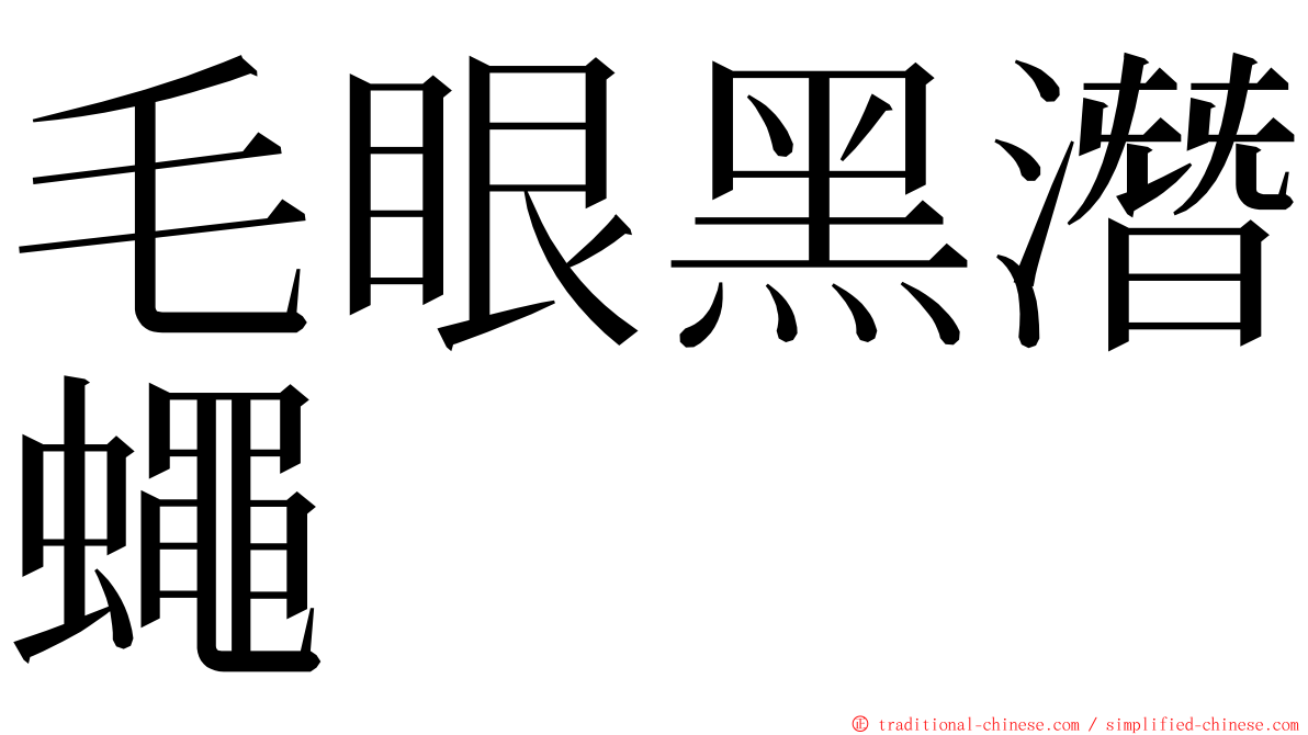 毛眼黑潛蠅 ming font