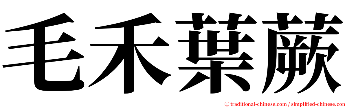 毛禾葉蕨 serif font