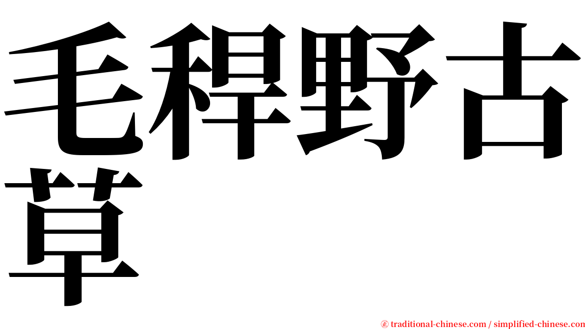 毛稈野古草 serif font
