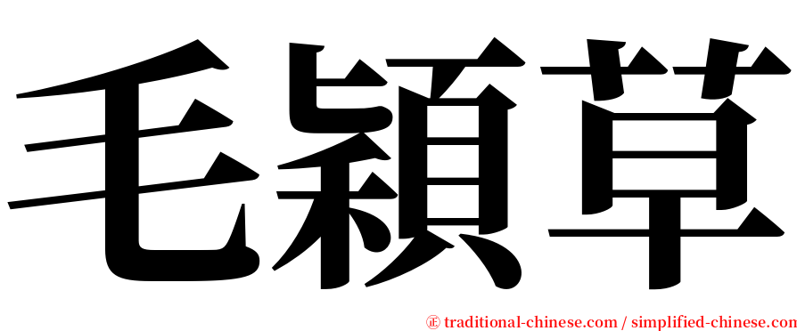 毛穎草 serif font