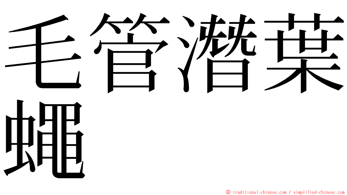 毛管潛葉蠅 ming font