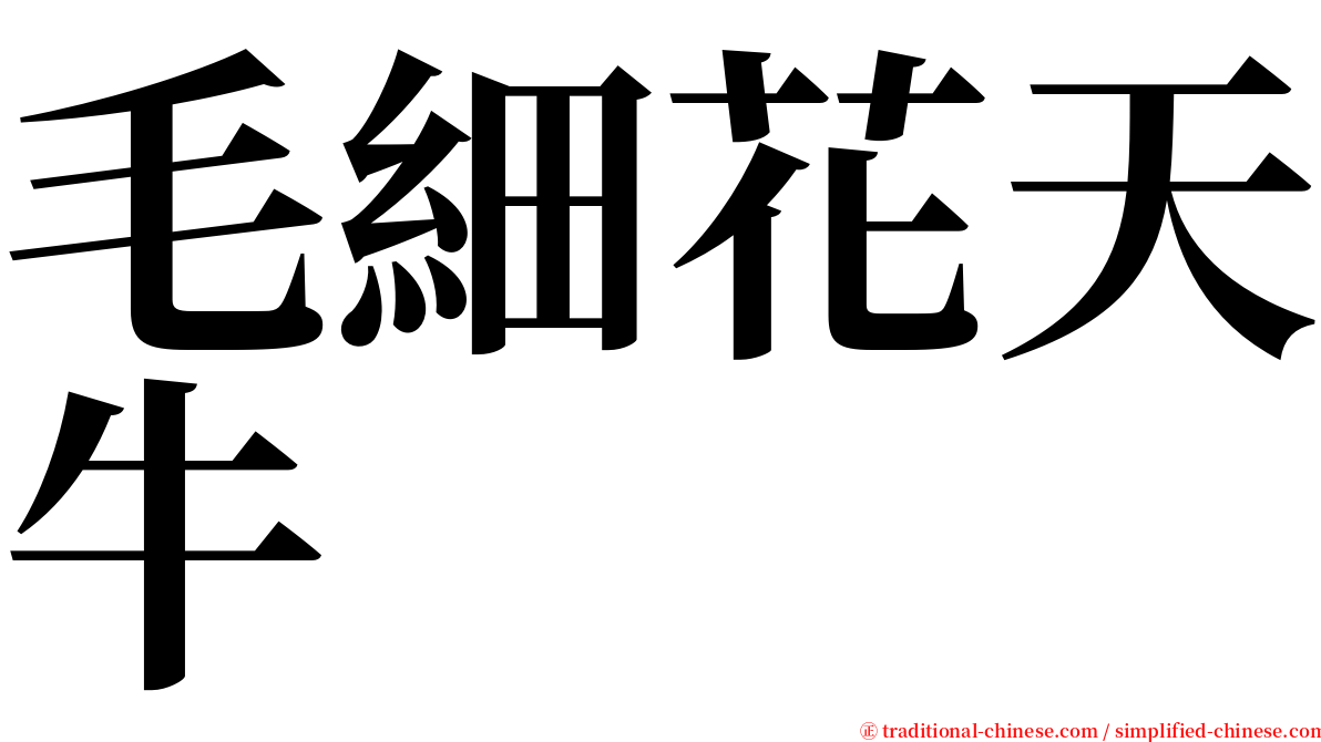 毛細花天牛 serif font