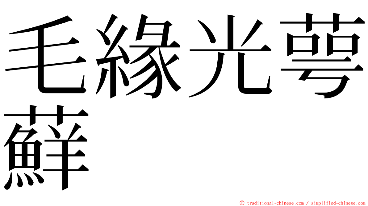 毛緣光萼蘚 ming font