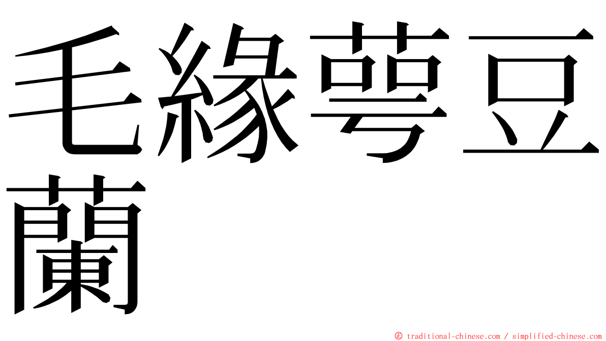 毛緣萼豆蘭 ming font