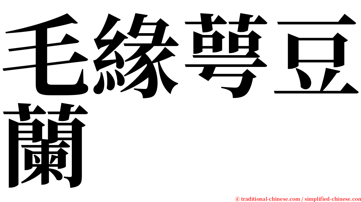 毛緣萼豆蘭 serif font