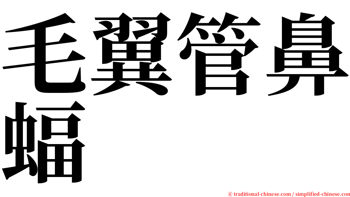 毛翼管鼻蝠 serif font