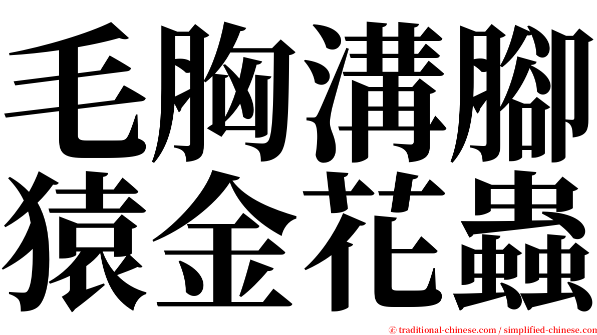 毛胸溝腳猿金花蟲 serif font