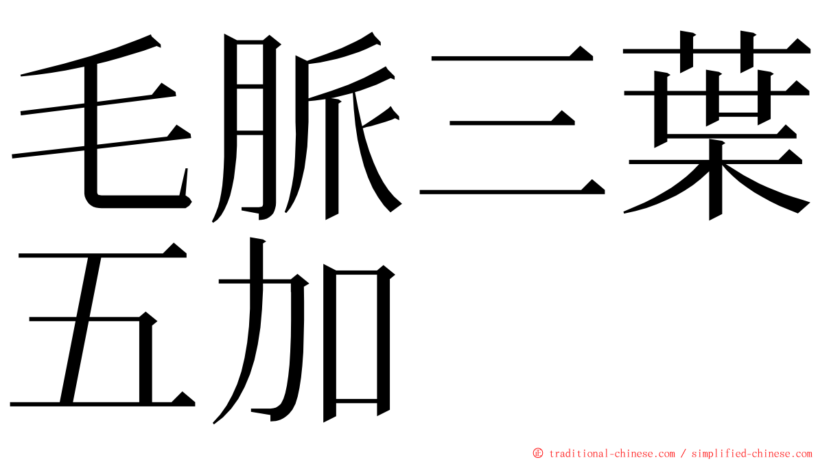 毛脈三葉五加 ming font