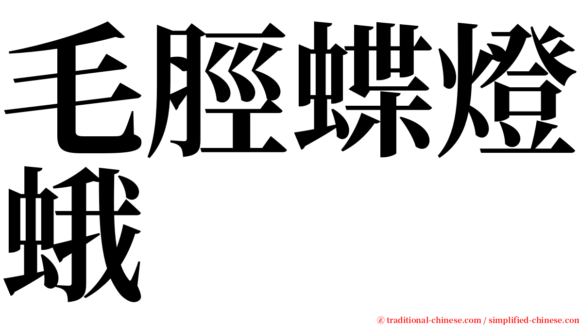 毛脛蝶燈蛾 serif font