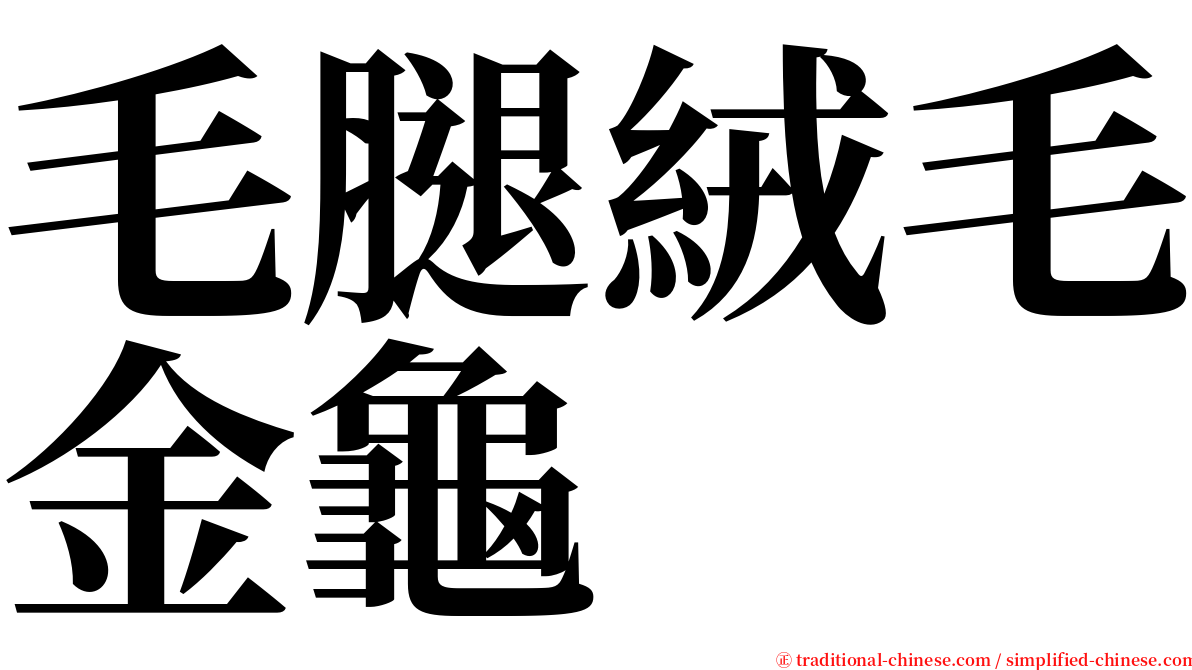 毛腿絨毛金龜 serif font