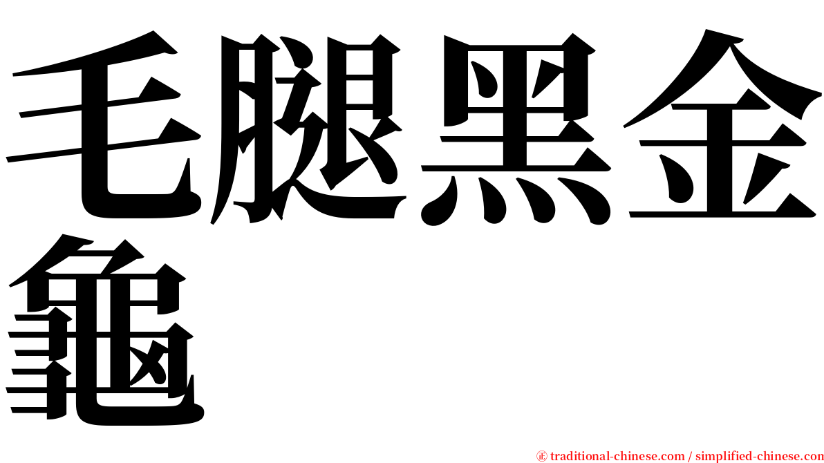 毛腿黑金龜 serif font