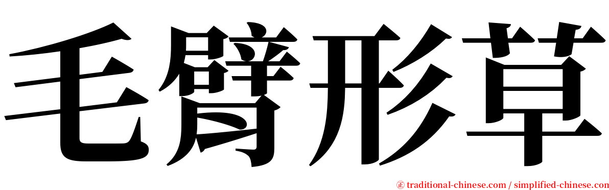 毛臂形草 serif font