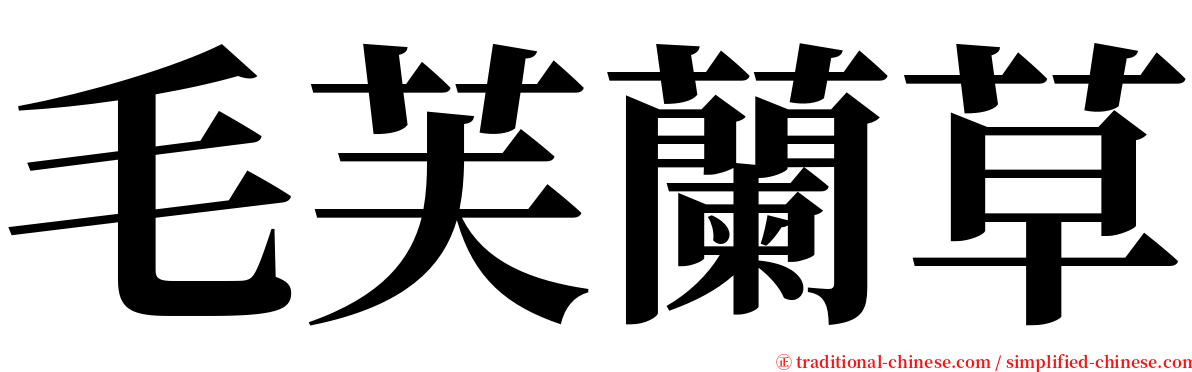 毛芙蘭草 serif font