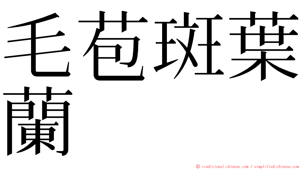 毛苞斑葉蘭 ming font