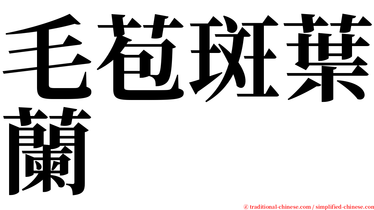 毛苞斑葉蘭 serif font