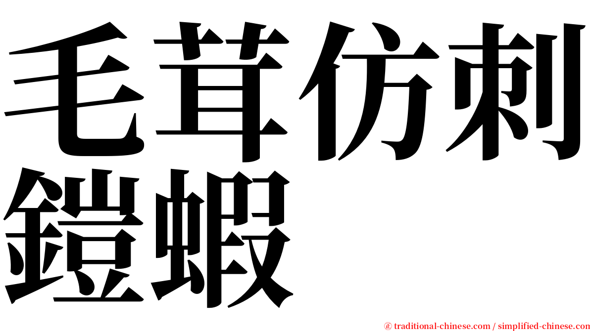 毛茸仿刺鎧蝦 serif font