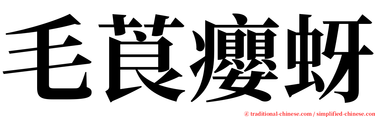 毛莨癭蚜 serif font