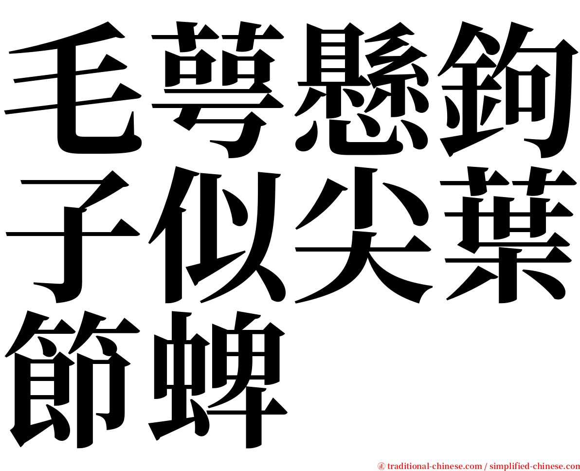 毛萼懸鉤子似尖葉節蜱 serif font