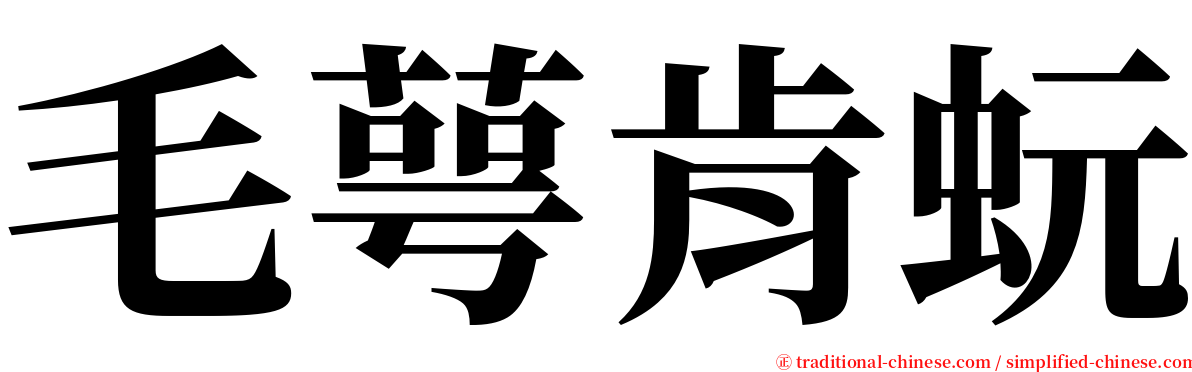 毛萼肯蚖 serif font