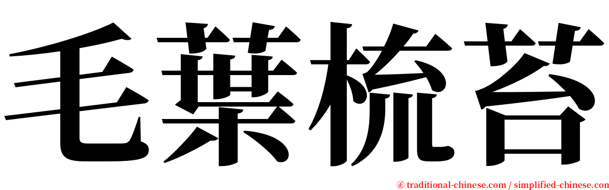 毛葉梳苔 serif font