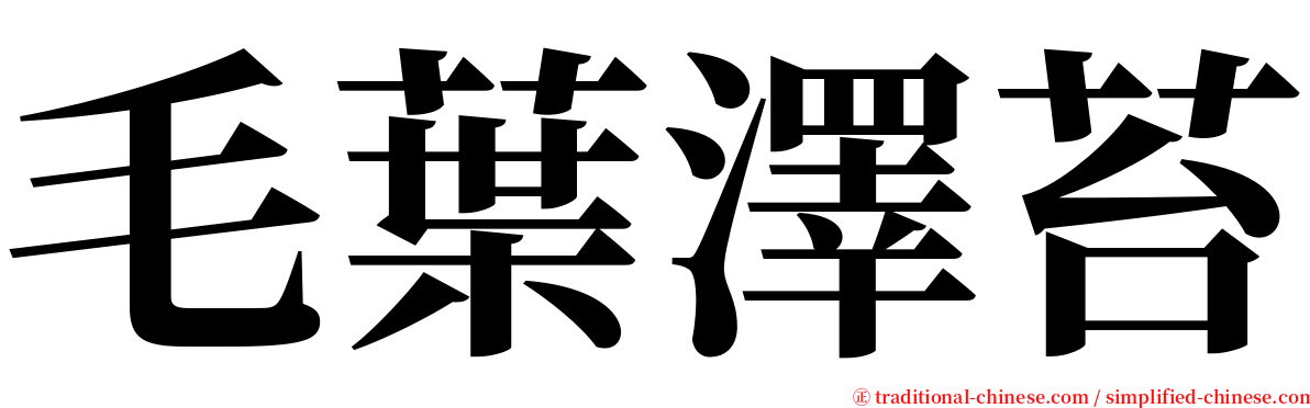 毛葉澤苔 serif font