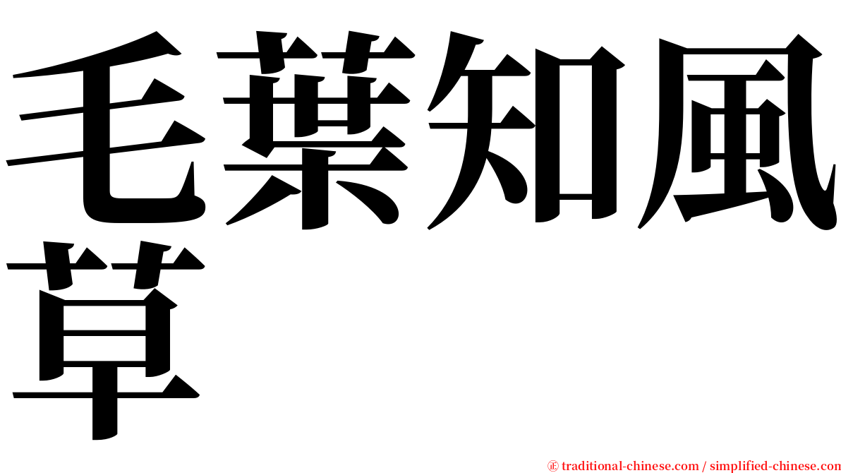 毛葉知風草 serif font