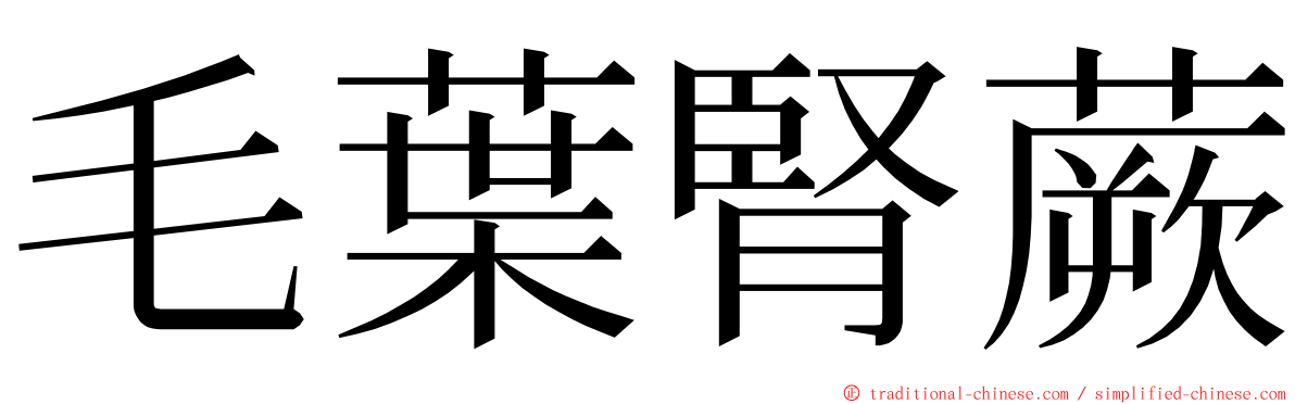 毛葉腎蕨 ming font