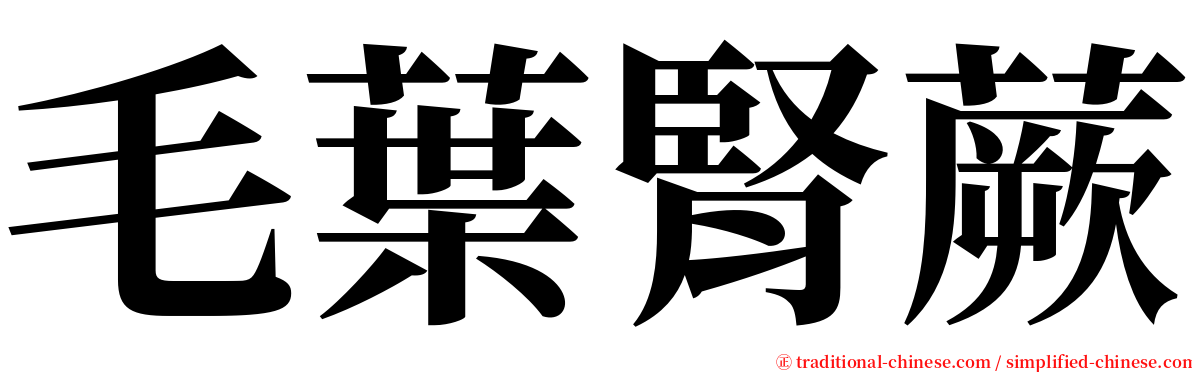 毛葉腎蕨 serif font