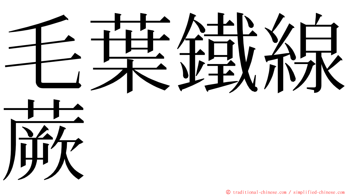 毛葉鐵線蕨 ming font