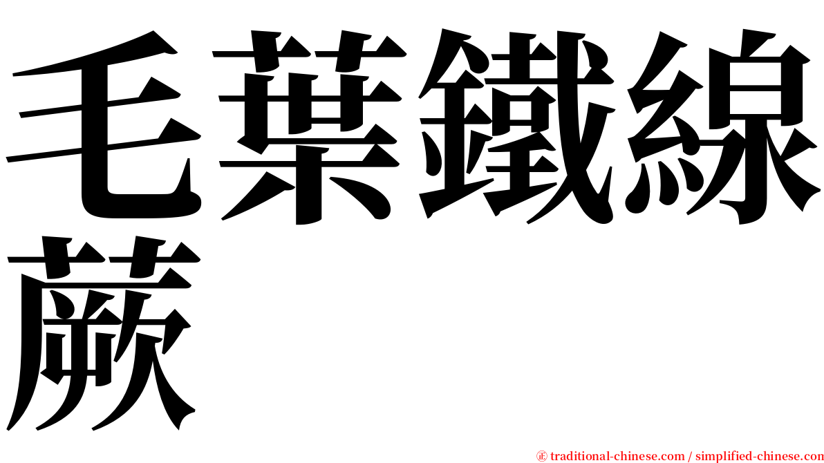 毛葉鐵線蕨 serif font