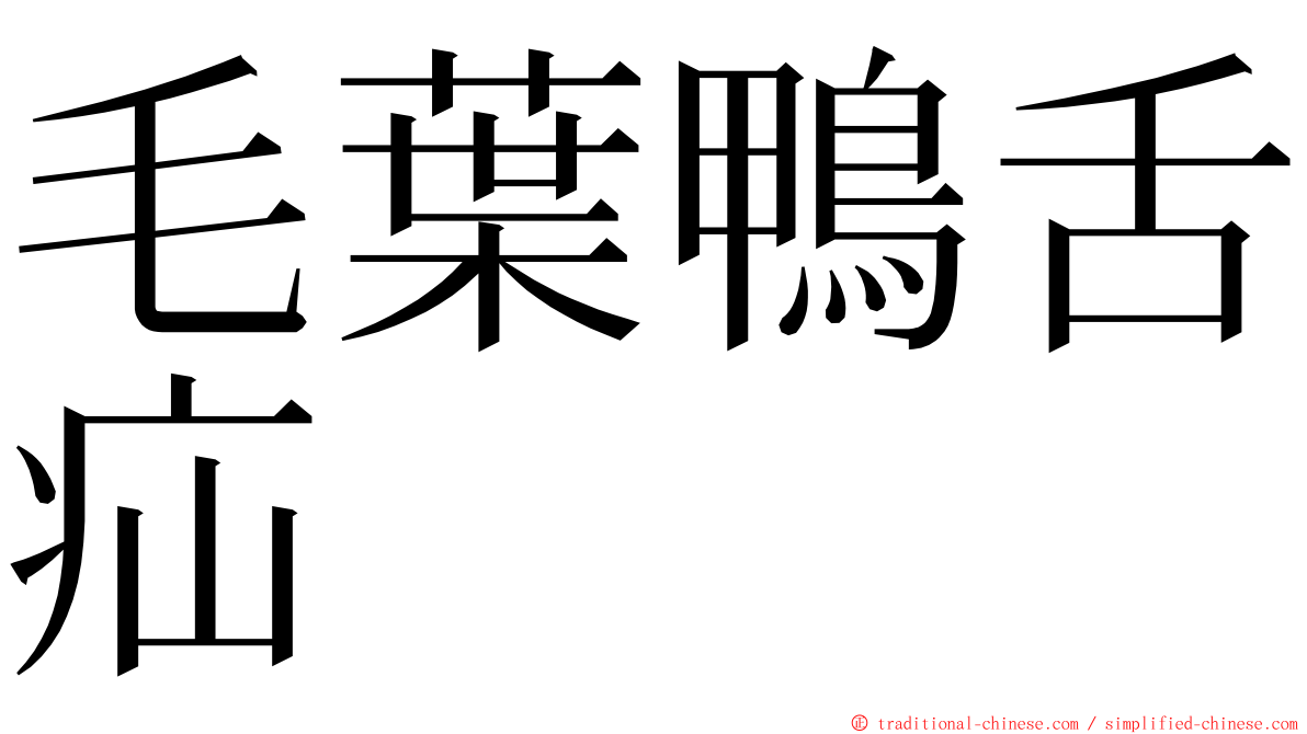 毛葉鴨舌疝 ming font