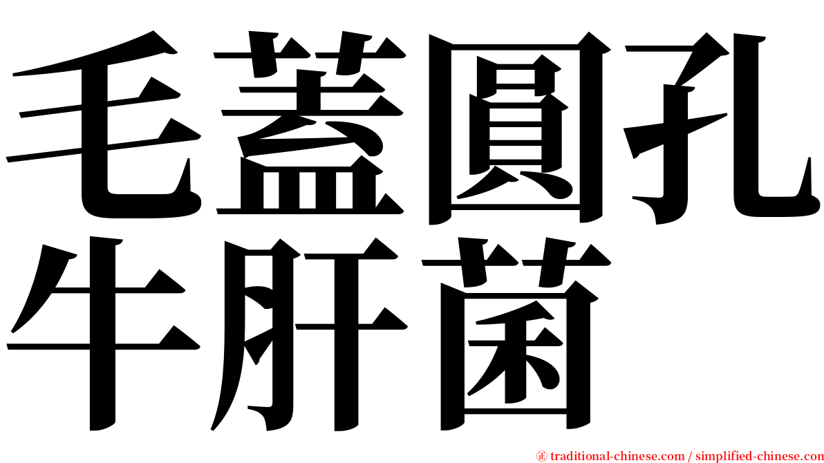 毛蓋圓孔牛肝菌 serif font