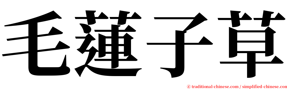 毛蓮子草 serif font